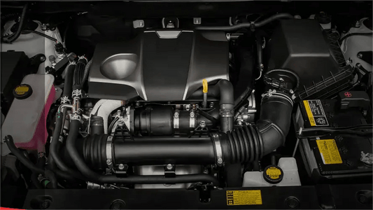 Going In-Depth With Evil Energy's CPE Fuel Line Filter Return Style Kit