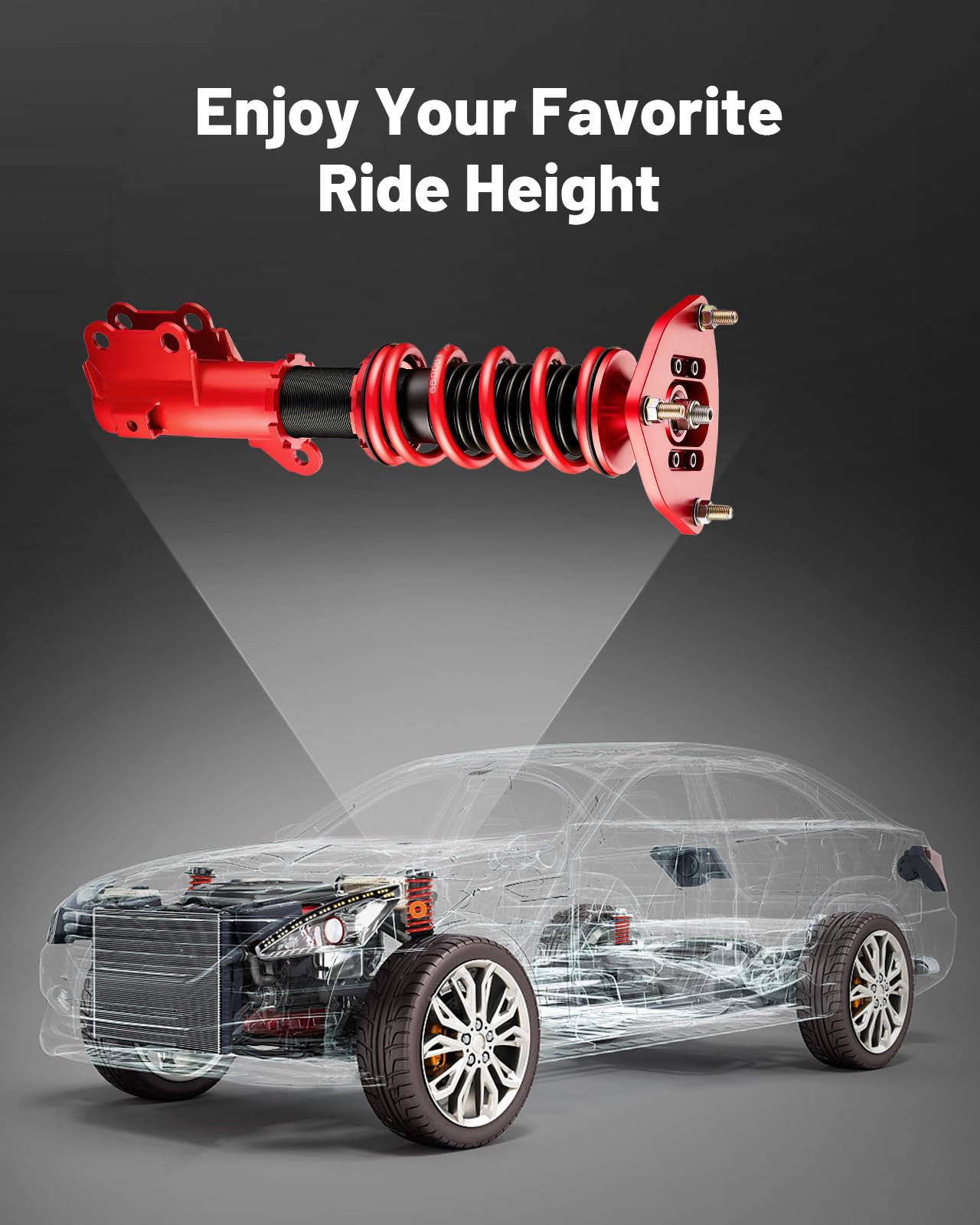 EVIL ENERGY Hyundai Genesis 2010-2016 Coilovers: Height-Adjustable Twin-Tube Suspension Kit, Red - Performance Lowering for Comfortable Ride" - EVILENERGY