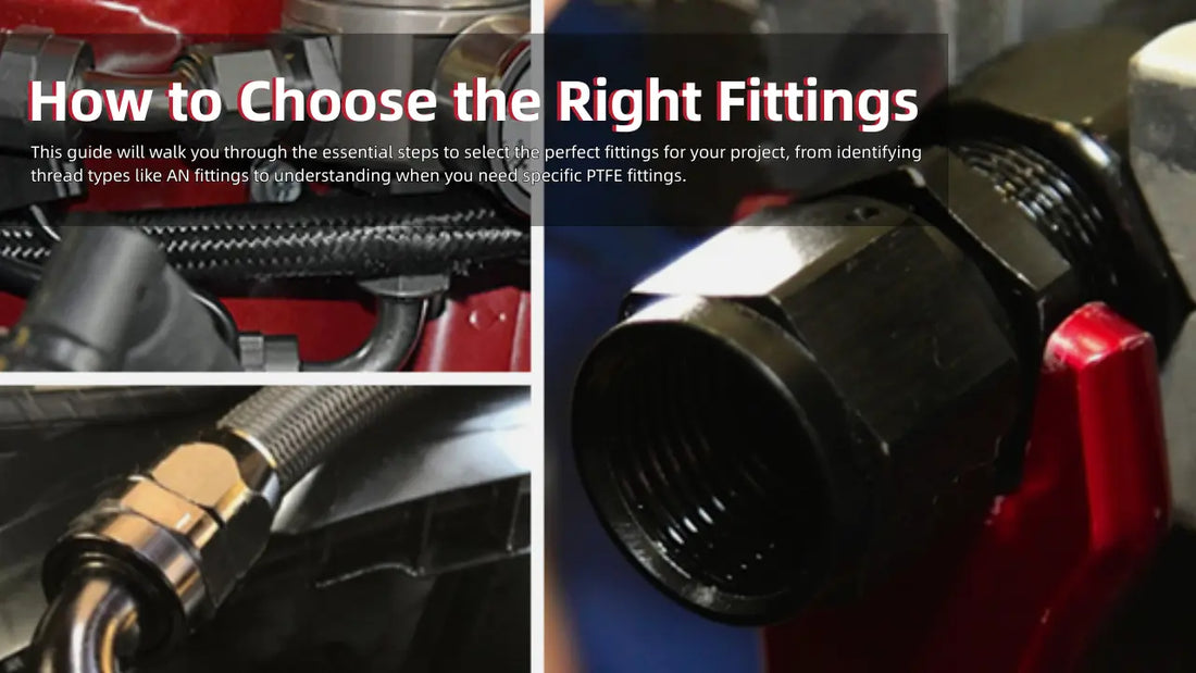 A guide on how to choose the right fittings, showing black EVIL ENERGY AN fittings installed on braided hoses in a performance engine bay.