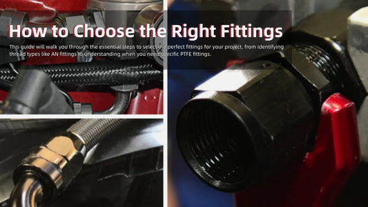A guide on how to choose the right fittings, showing black EVIL ENERGY AN fittings installed on braided hoses in a performance engine bay.