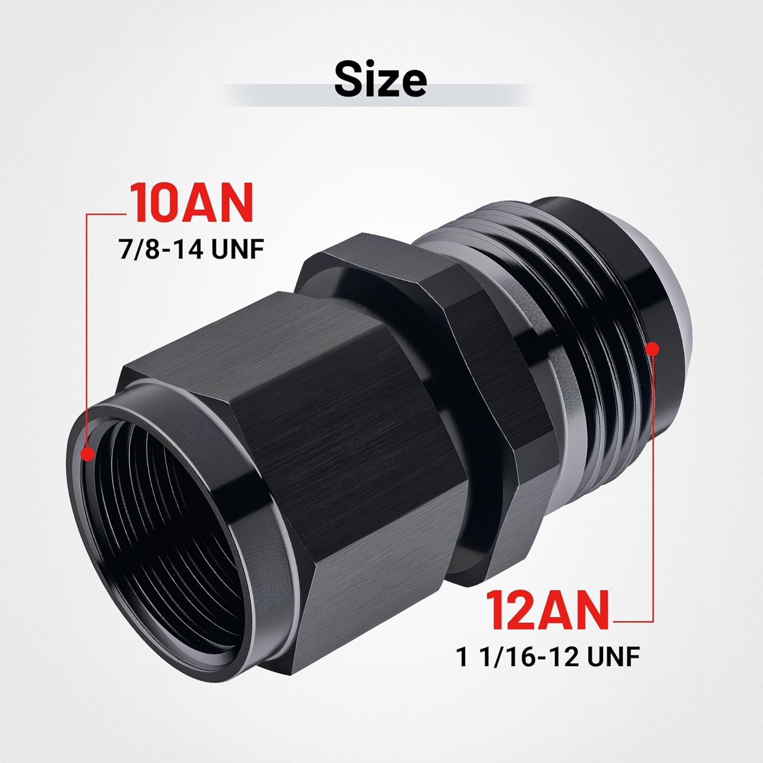 [10AN to 12AN]