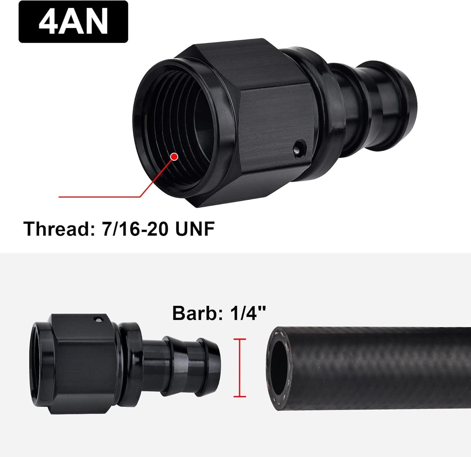 [4AN,Straight]