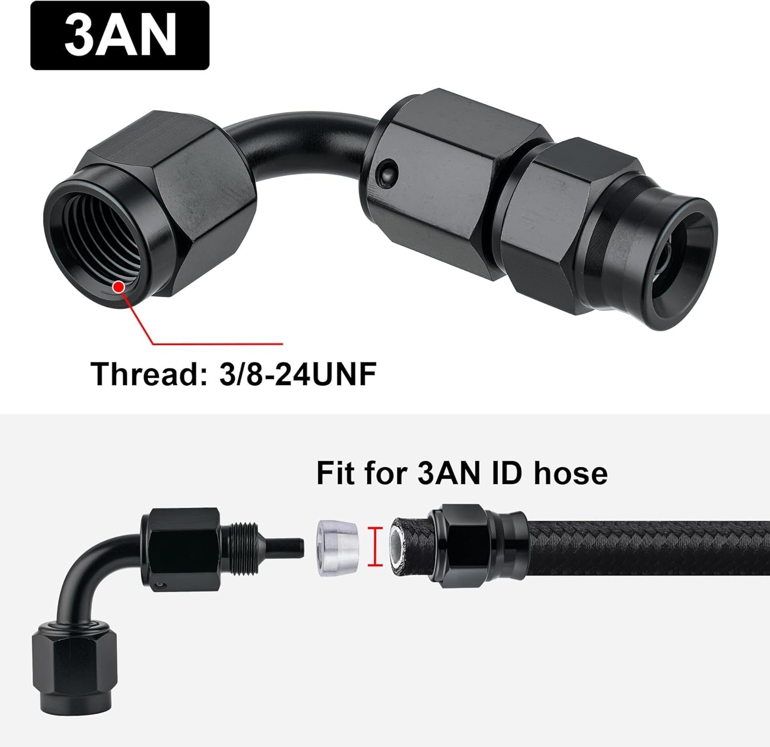 [3AN]