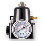 Fuel & Intake Systems